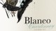 PAGOS de ARAIZ Blaneo Chardonnay 2021 DO Navarra