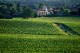 CHATEAU DU PUCH Le Sauvignon 2022 Bordeaux Blanc AOC