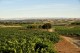 LOPEZ CRISTOBAL La Colorada 2021 Ribera del Duero DO