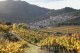 CELLER ARDEVOL Vell Tros 2015 Priorat DOQ