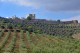 GAMO Branco 2023 Vinho Regional Alentejano