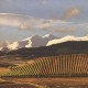 MARQUES DEL VILLAR Coleccion Privada Roble Rioja DOC
