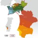 MOLA Branco 2024 Vinho Regional Peninsula de Setubal